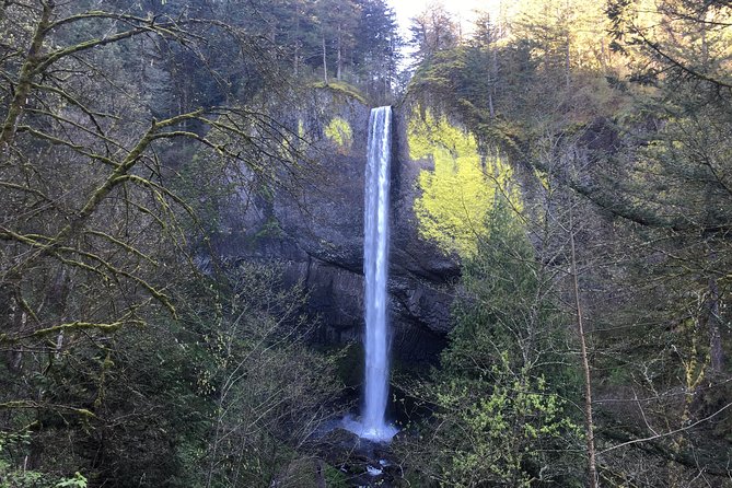 Private - Columbia River Gorge Waterfalls and Wine Tour - Indulge in Wine Tasting