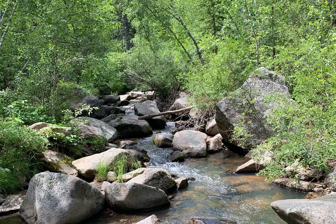 Private Custer State Park Safari and Hiking Tour - Guided Hiking Trails for Every Preference