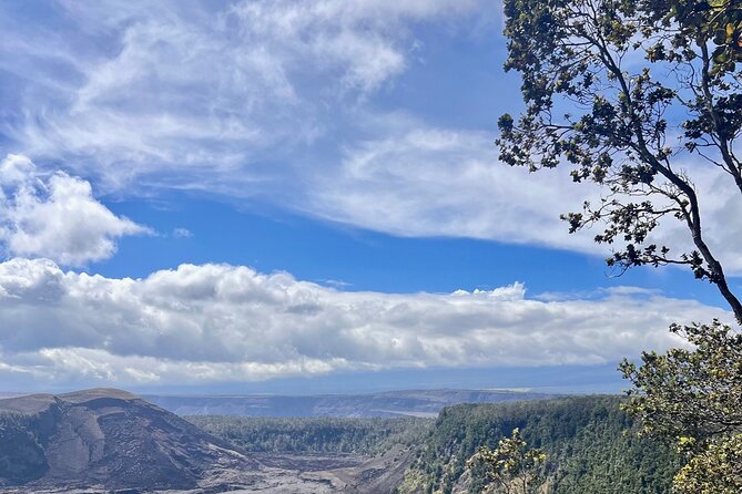 Private Customized Big Island Adventure Tour Review - Tour Schedule and Availability