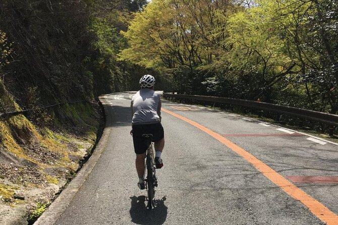 Private & Customized - Kansai Cycle Tour - Reviews