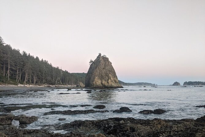Private Day Hike - Rialto Beach Review - Pricing and Booking Details