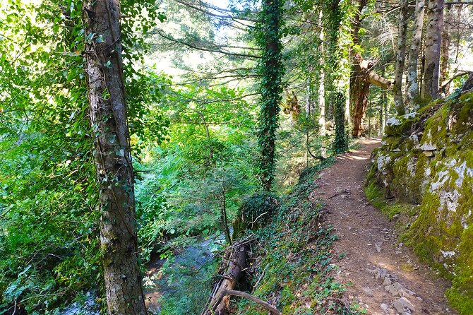 Private Day Tour From Athens to Pavliani Forest Park Trek - Lunch and Refreshments
