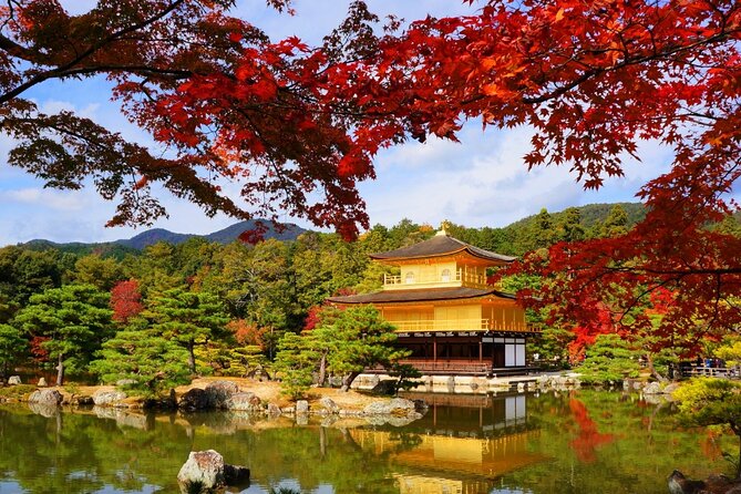 Private Day Tour in Osaka and Kyoto With Charter Car - Accessibility