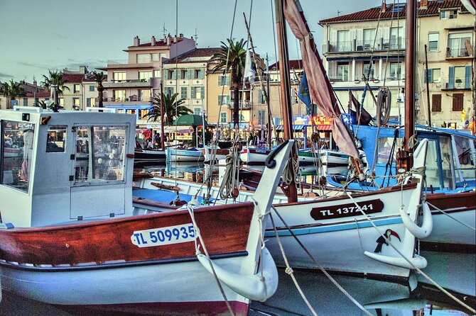 Private Day Trip From Cannes To Nice And Monaco, Friendly Driver - Accessibility Features