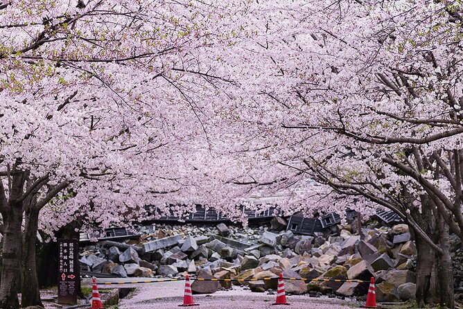 Private Day Trip to Kumamoto & Asakura From Fukuoka With Minibus - Health and Accessibility Information