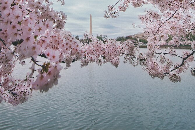 Private DC Guided Bus Tour Review - Booking Information