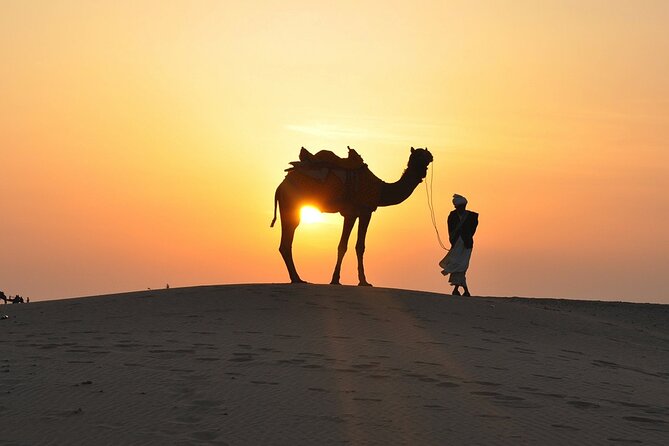 Private Desert Safari Dubai With BBQ Dinner and Belly Dance - Accessibility Features