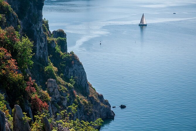Private Direct Transfer From Venice to Trieste, up to 8 Pax - Pickup and Drop-off Locations