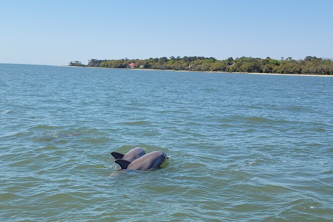 Private Dolphin Boat Tour in Hilton Head Island - Meeting Location and Logistics