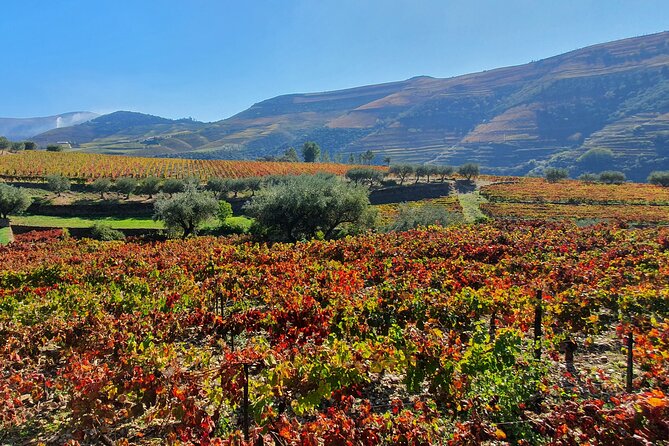 Private Douro Valley Tour With Train and Vinho Verde - Booking and Cancellation Policy