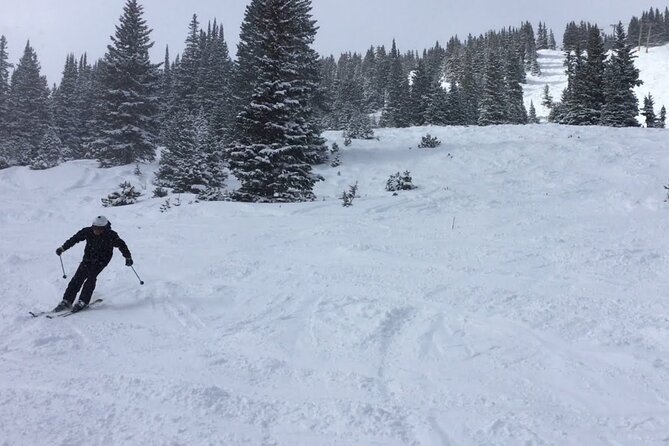 Private Eagle County Regional Transfer to Aspen Review - Booking Information