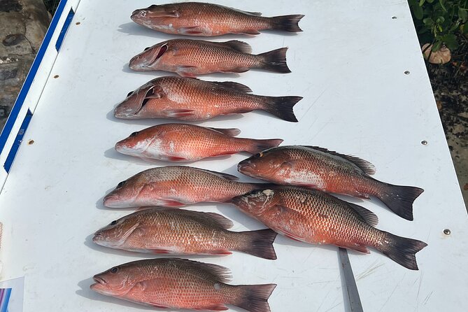 Private Fishing Charter in Tampa - Inclusions and Amenities