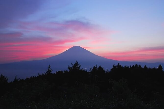 Private Full-Day Guided Tour in Mount Fuji Lakes - Itinerary and Activities
