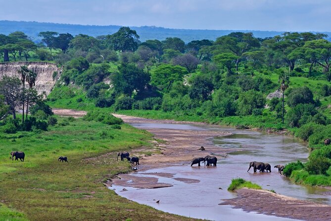 Private Full-Day Tarangire National Park Tour From Arusha - Accessibility Information