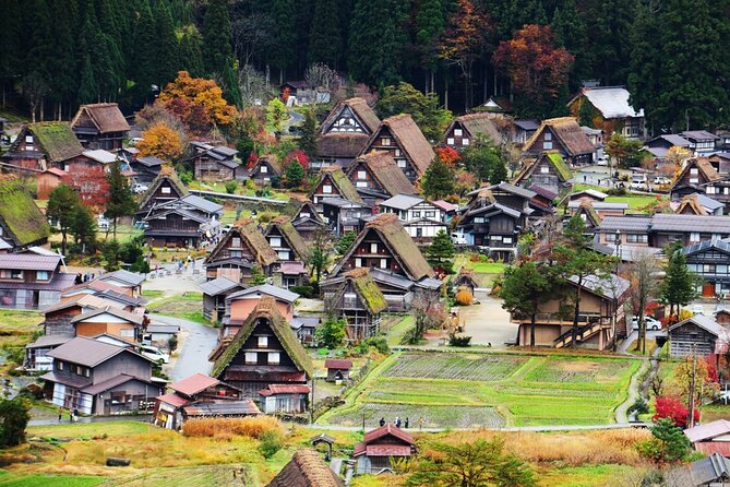 Private Full-Day Tour to Takayama and Shirakawa From Nagoya - Exploring Shirakawago