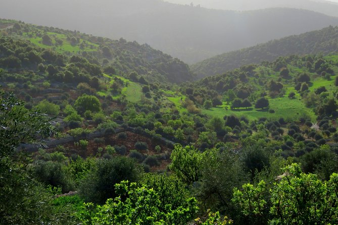 Private Full Day Tour to Umm Qais and Ajloun From Amman - Exploring Ajloun Castle