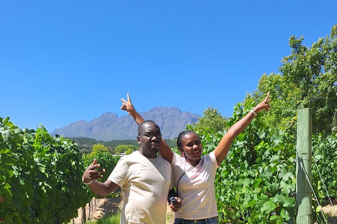 Private Full Day Wine Tasting in Cape Town - Meeting and Pickup Locations