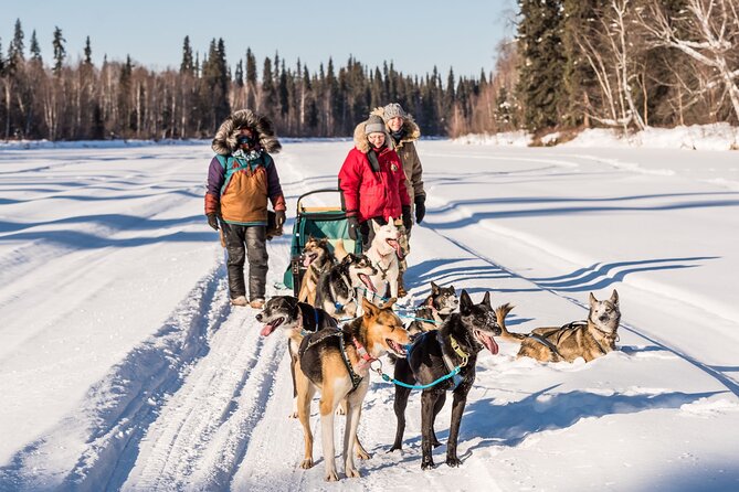 Private Guided Dog Sledding on the Historic Yukon Quest Trail - Health and Safety Information