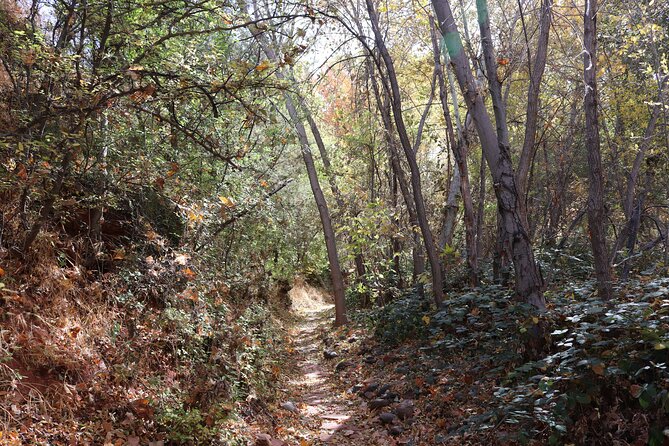 Private Guided Hike in Sedona With Access to Oak Creek - Pricing and Booking Information