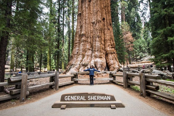Private Guided Hiking Tour - Sequoia National Park - Whats Included