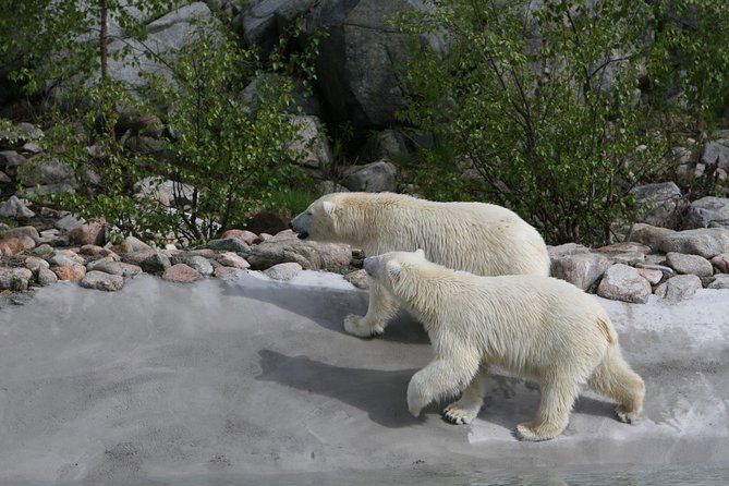 Private Guided Lapland Ranua Zoo Tour From Rovaniemi - Meeting and Pickup Information