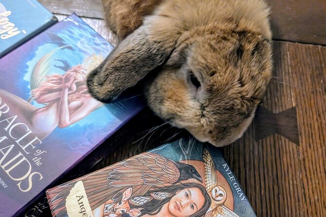 Private Guided Tarot Tour Review - Highlights of the Experience