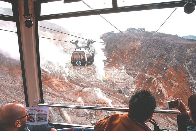 Private Hakone Tour - View of Mt. Fuji, Nature and Culture - Physical Requirements