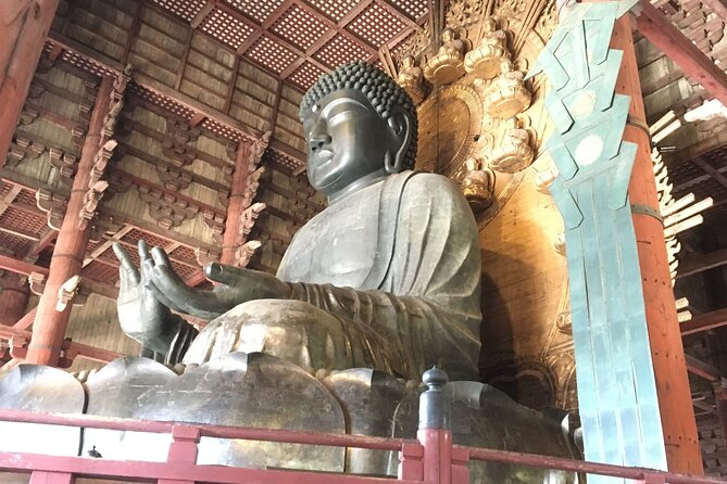 Private Half-Day City of Nara Guided Tour - Accessibility and Additional Info