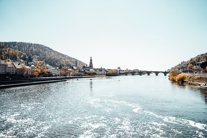 Private Half-Day Heidelberg Tour From Frankfurt - Accessibility Options