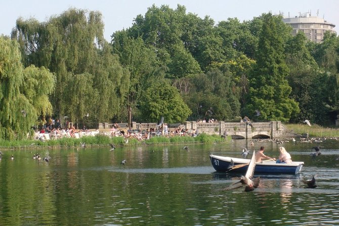 Private Half Day London Tour With Car/MPV/Van/Coach - Accessibility and Health Measures
