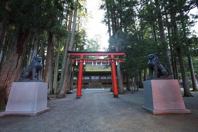 Private Half- Day Tour in Wakayama Koyasan - Additional Services