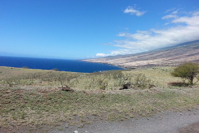 Private Hana, Ocean, Turtle Town, Winery Tour of Maui - Accessibility Information
