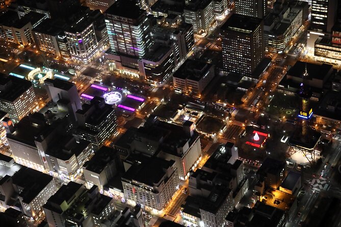Private Helicopter Night Tour in Sapporo City - Participant Restrictions