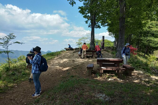 Private Hiking Activity Near Tokyo - Booking Information