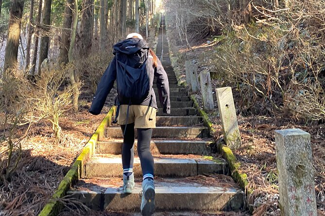 Private Hiking Tour to View Mt. Fuji - Health and Safety Guidelines