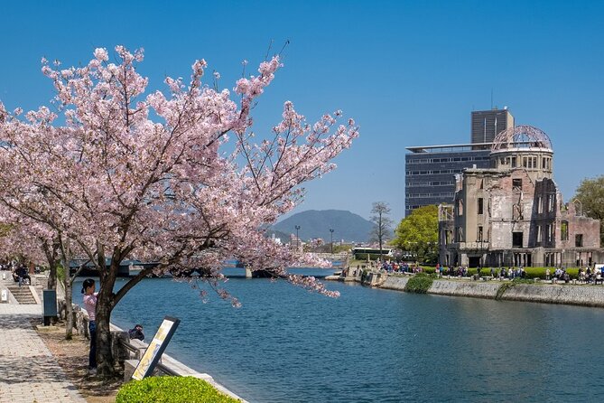 Private Hiroshima Cherry Blossom and Sakura Experience - Personalized Service With a Passionate Local Guide