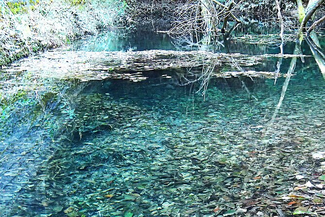 Private Historic Road Hike in the Healing Forest of Arima - Meeting and Pickup Details