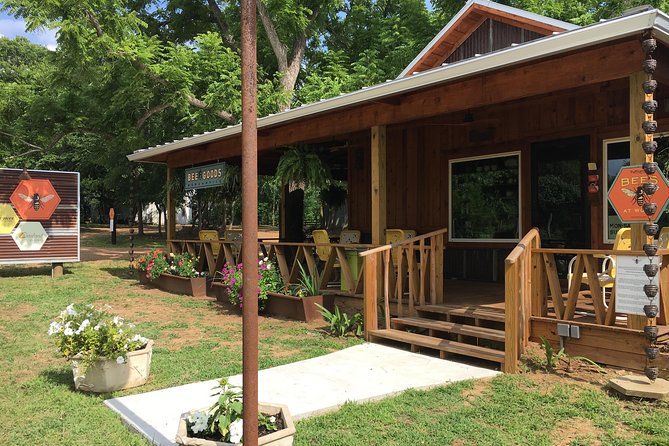 Private Hive Tour Review: A Sweet Experience - Embracing the Buzz of Bee Culture