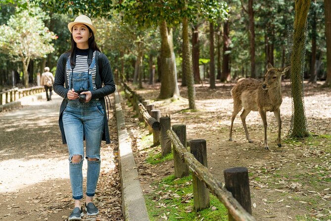 Private Journey in Nara's Historical Wonder - Visiting the Charming Kasuga Taisha Shrine