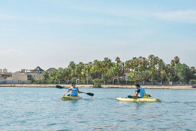 Private Kayaking Adventure Around the Mangroves and La Paz Bay - Meeting Point and Logistics