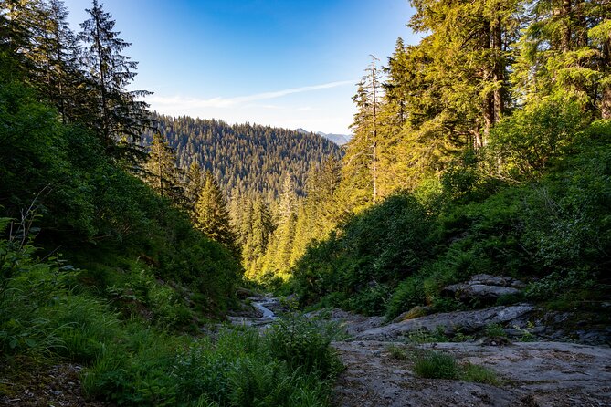 Private Ketchikan Mountain Lake Extended Trek to Alpine Overlook - Health and Safety Requirements
