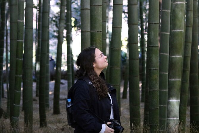 Private Kimono Photo Shooting Tour in Ancient City Kamakura - Traveler Information