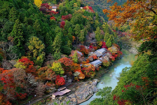 [Private] Kyoto Tailored Tour (Guide + Private Transport) - Tour Options