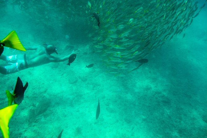 Private Los Cabos Snorkeling Tour to Chileno Bay and Santa Maria Cove - Meeting and Pickup Options