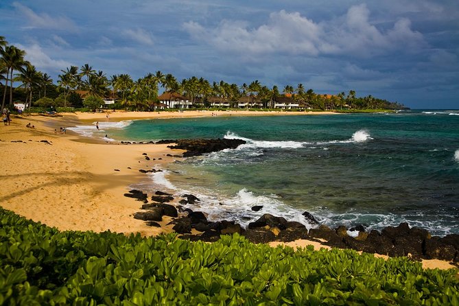 Private Luxury Tour of Kauai: South & West Shores - Reviews and Feedback