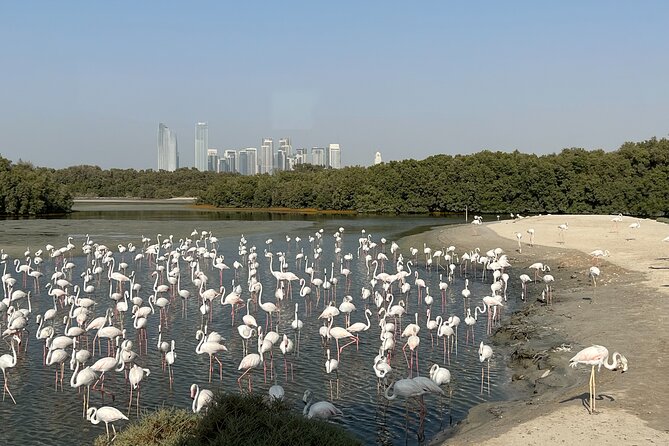 Private Morning Desert Safari With Flamingos Bird Watching - Flamingos Bird Watching Highlights