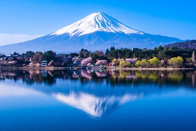Private Mount Fuji and Hakone One Day Tour - Start Time and End Point
