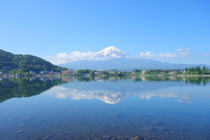 Private Mt. Fuji Custom Tour From Tokyo - Traveler Experiences and Recommendations