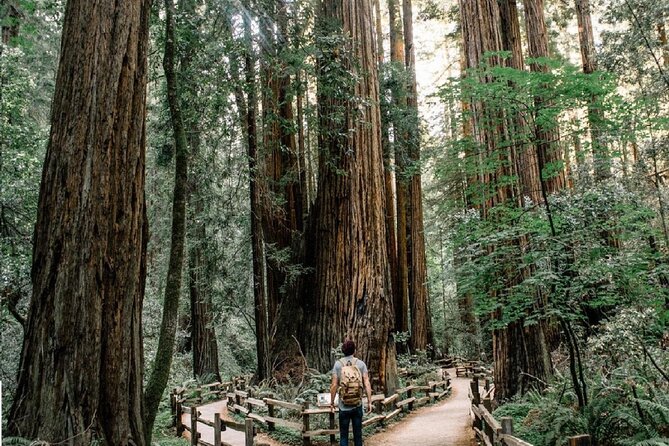 Private Muir Woods, Sausalito, and Marin Headlands Tour Review - Booking and Flexibility