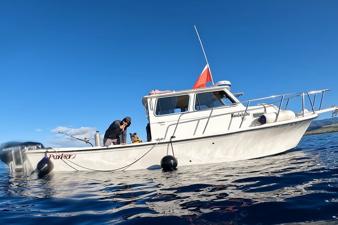 Private Na Pali Coast Tour - Health and Safety Guidelines